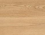  Polyflor Polysafe Wood FX 3387