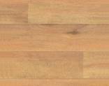  Polyflor Polysafe Wood FX 3977